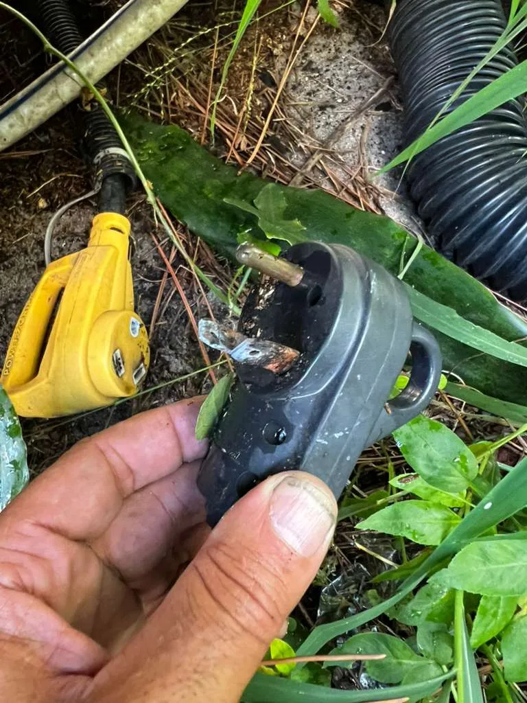 Burnt RV shore power connection — surge damage from unprotected campground pedestal in Florida