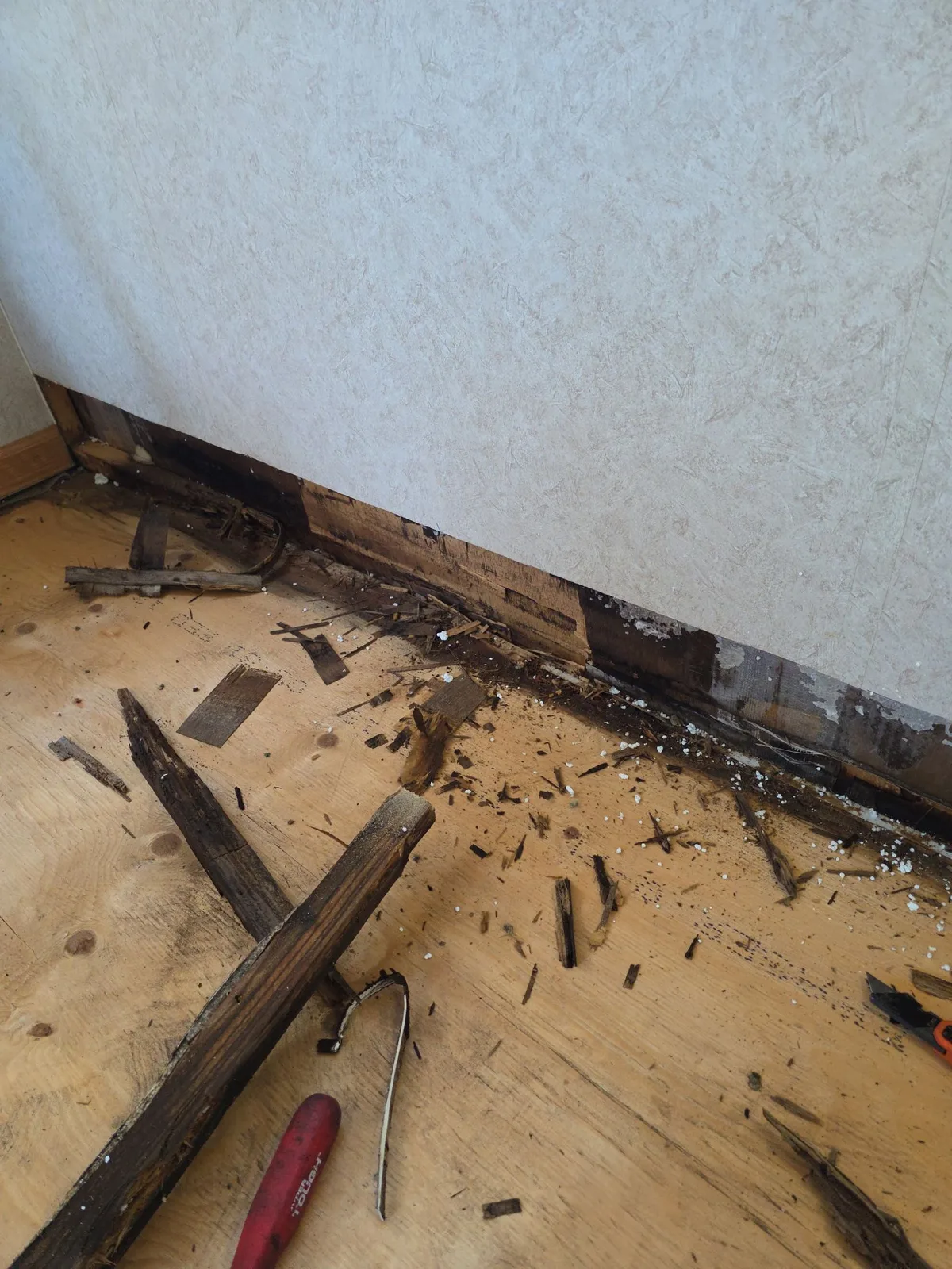 Subfloor Replacement service for RVs in Florida